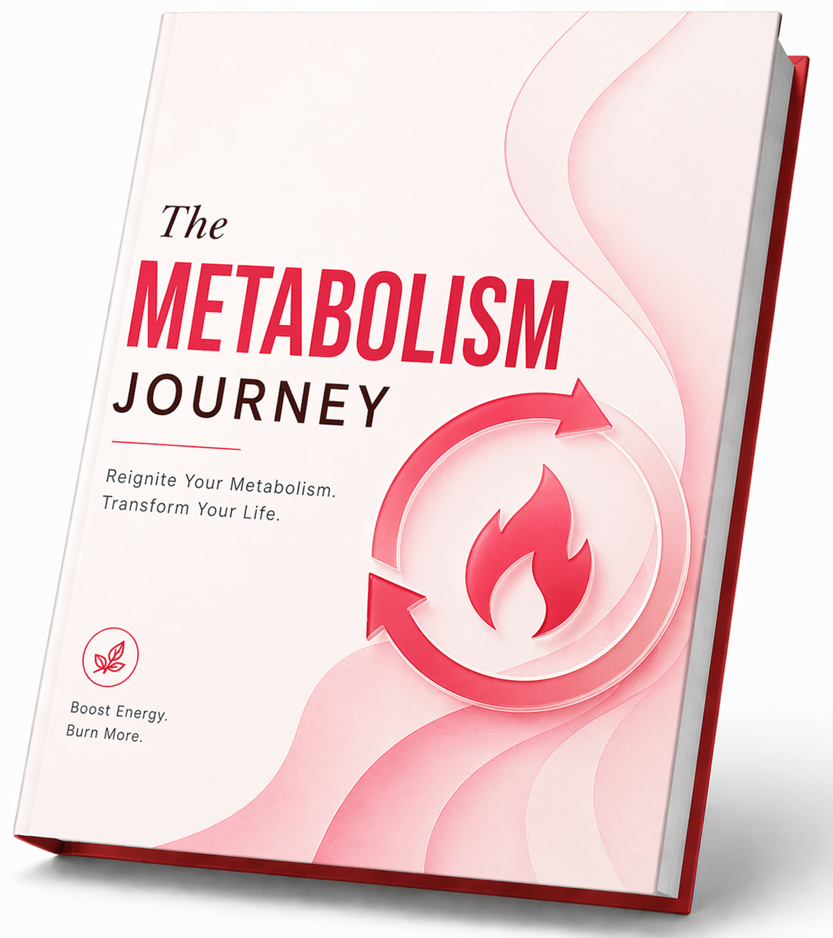 JellyThin official website Metabolism Journey bonus guide